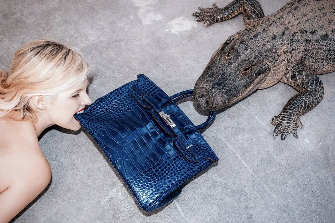 Từ ‘thiên đường hàng giá rẻ’ đến nơi săn túi Hermès, Louis Vuitton